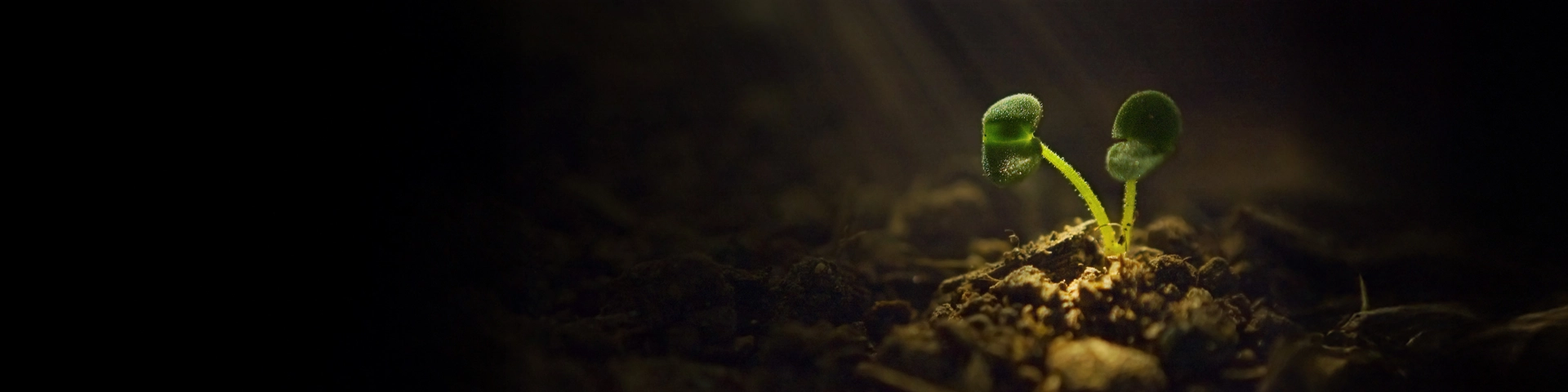 Rethinking Long-Term Care