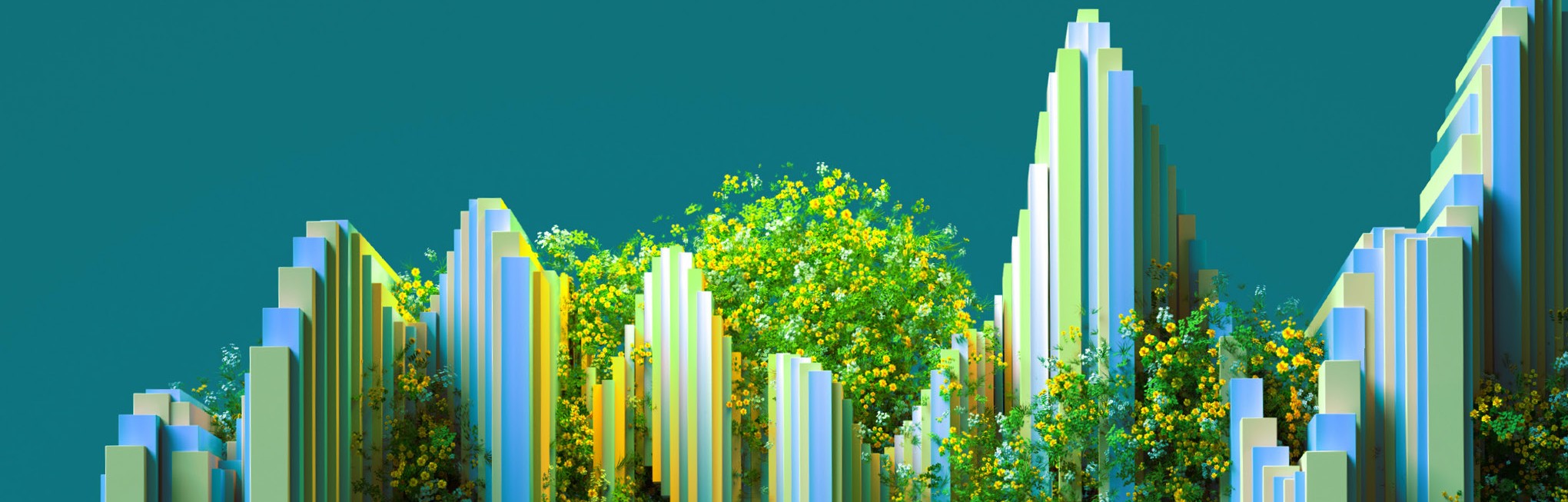 baner-img